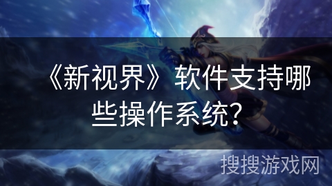 《新视界》软件支持哪些操作系统？