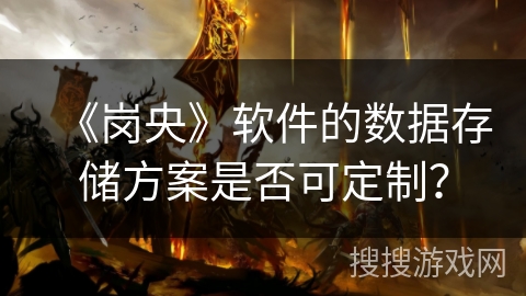 《岗央》软件的数据存储方案是否可定制？