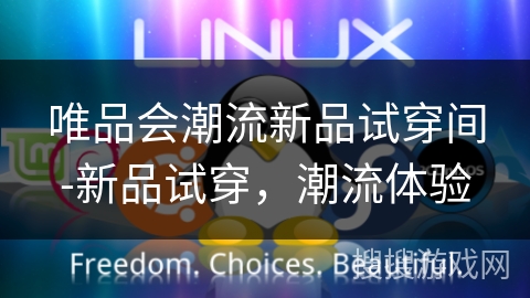 唯品会潮流新品试穿间-新品试穿，潮流体验