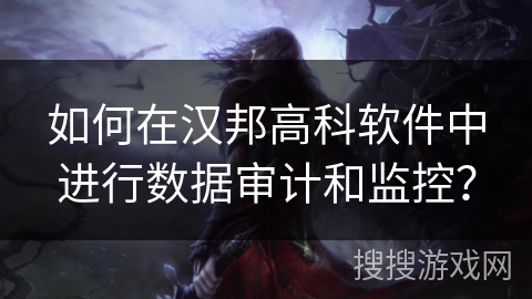 如何在汉邦高科软件中进行数据审计和监控？