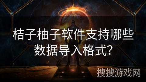 桔子柚子软件支持哪些数据导入格式？