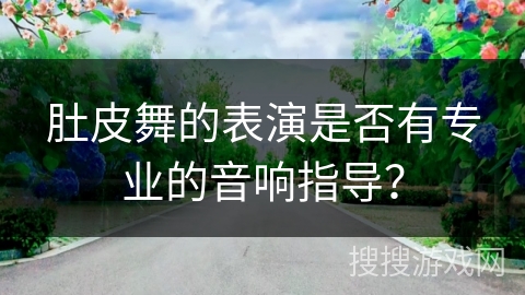 肚皮舞的表演是否有专业的音响指导？