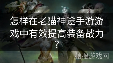 怎样在老猫神途手游游戏中有效提高装备战力？