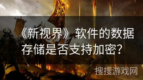 《新视界》软件的数据存储是否支持加密？