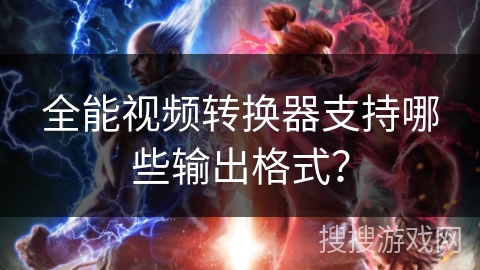 全能视频转换器支持哪些输出格式？