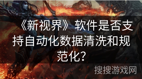 《新视界》软件是否支持自动化数据清洗和规范化？