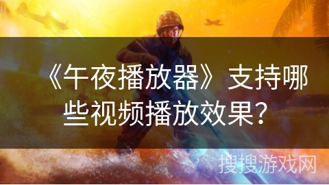 《午夜播放器》支持哪些视频播放效果？