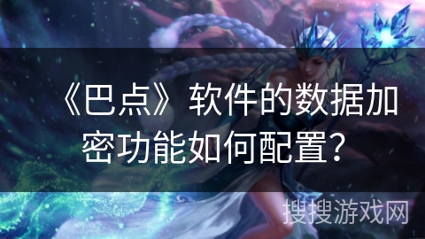 《巴点》软件的数据加密功能如何配置？