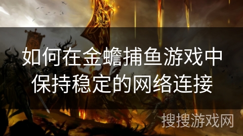如何在金蟾捕鱼游戏中保持稳定的网络连接
