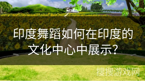 印度舞蹈如何在印度的文化中心中展示？