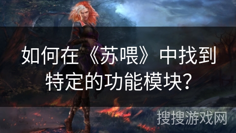 如何在《苏喂》中找到特定的功能模块？