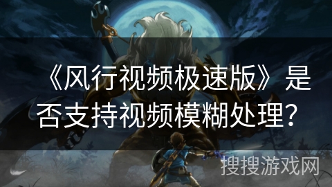 《风行视频极速版》是否支持视频模糊处理？