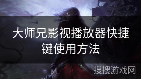 大师兄影视播放器快捷键使用方法
