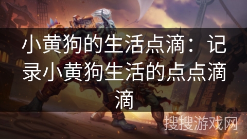 小黄狗的生活点滴：记录小黄狗生活的点点滴滴