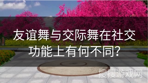 友谊舞与交际舞在社交功能上有何不同？