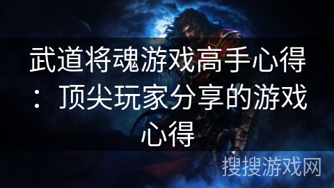 武道将魂游戏高手心得：顶尖玩家分享的游戏心得