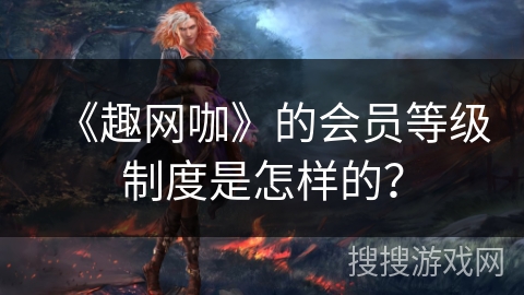 《趣网咖》的会员等级制度是怎样的？