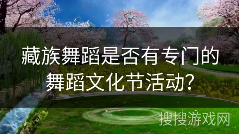 藏族舞蹈是否有专门的舞蹈文化节活动？