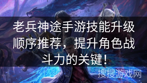 老兵神途手游技能升级顺序推荐，提升角色战斗力的关键！