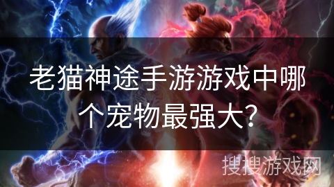 老猫神途手游游戏中哪个宠物最强大？