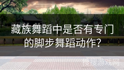 藏族舞蹈中是否有专门的脚步舞蹈动作？