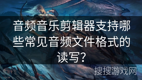 音频音乐剪辑器支持哪些常见音频文件格式的读写？