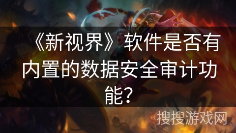 《新视界》软件是否有内置的数据安全审计功能？