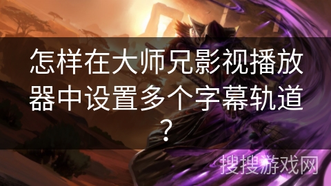 怎样在大师兄影视播放器中设置多个字幕轨道？
