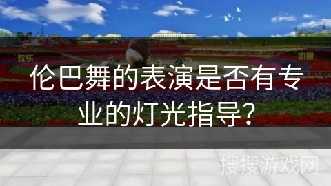 伦巴舞的表演是否有专业的灯光指导？