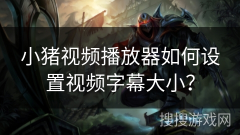 小猪视频播放器如何设置视频字幕大小？
