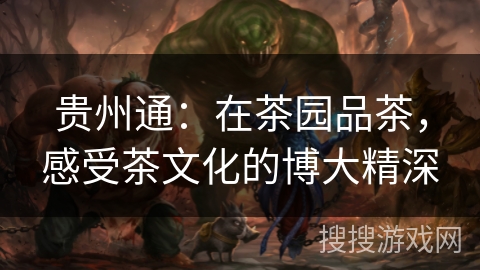 贵州通：在茶园品茶，感受茶文化的博大精深