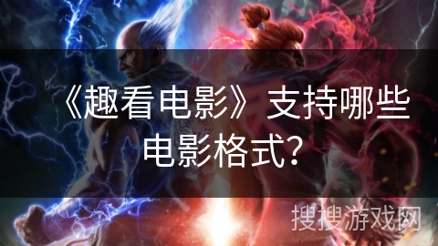 《趣看电影》支持哪些电影格式？