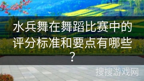 水兵舞在舞蹈比赛中的评分标准和要点有哪些？
