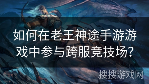 如何在老王神途手游游戏中参与跨服竞技场？