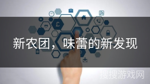 新农团，味蕾的新发现