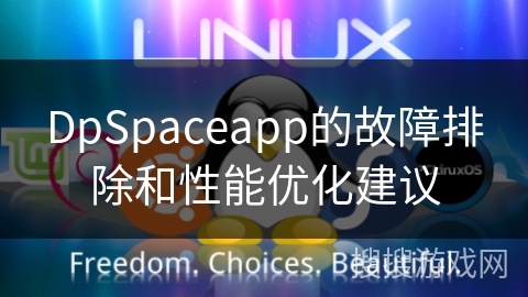 DpSpaceapp的故障排除和性能优化建议