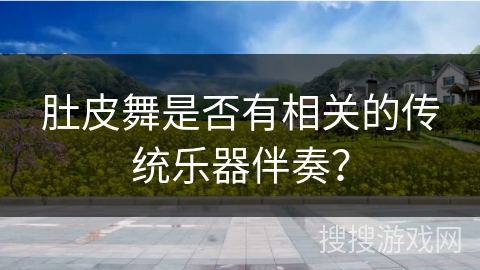 肚皮舞是否有相关的传统乐器伴奏？