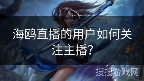 海鸥直播的用户如何关注主播？