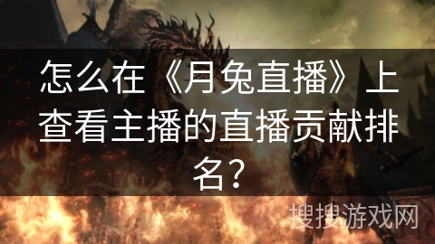 怎么在《月兔直播》上查看主播的直播贡献排名？