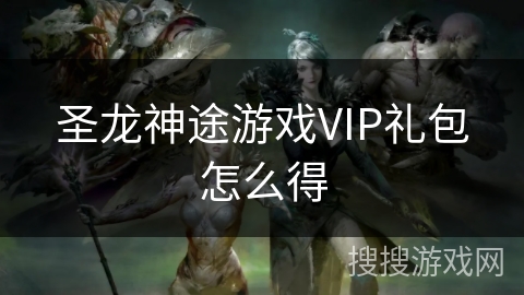 圣龙神途游戏VIP礼包怎么得