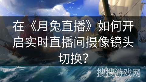 在《月兔直播》如何开启实时直播间摄像镜头切换？