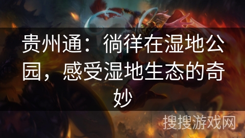 贵州通：徜徉在湿地公园，感受湿地生态的奇妙