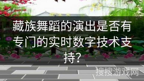 藏族舞蹈的演出是否有专门的实时数字技术支持？