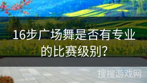 16步广场舞是否有专业的比赛级别？