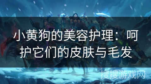 小黄狗的美容护理：呵护它们的皮肤与毛发