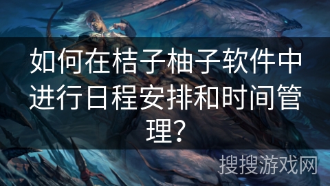 如何在桔子柚子软件中进行日程安排和时间管理？