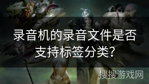 录音机的录音文件是否支持标签分类？