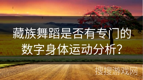 藏族舞蹈是否有专门的数字身体运动分析？