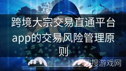跨境大宗交易直通平台app的交易风险管理原则