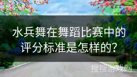 水兵舞在舞蹈比赛中的评分标准是怎样的？